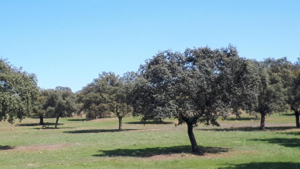 Villa Maria Vilches 外观 照片